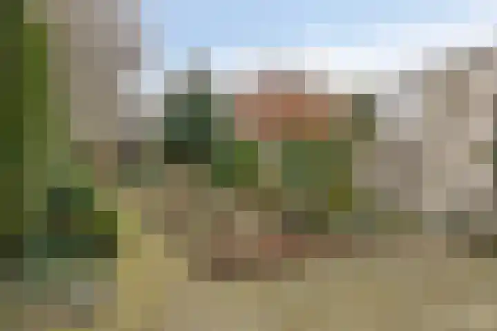 Liviuslaan 77 Eindhoven thumbnail 39