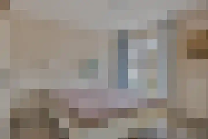 Liviuslaan 77 Eindhoven thumbnail 4