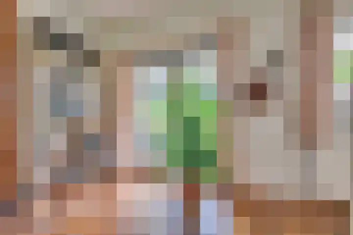 Liviuslaan 8 Venlo thumbnail 12