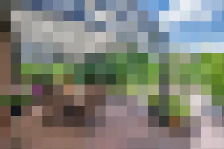 Liviuslaan 8 Venlo thumbnail 36