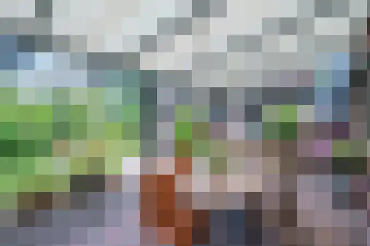 Liviuslaan 8 Venlo thumbnail 37