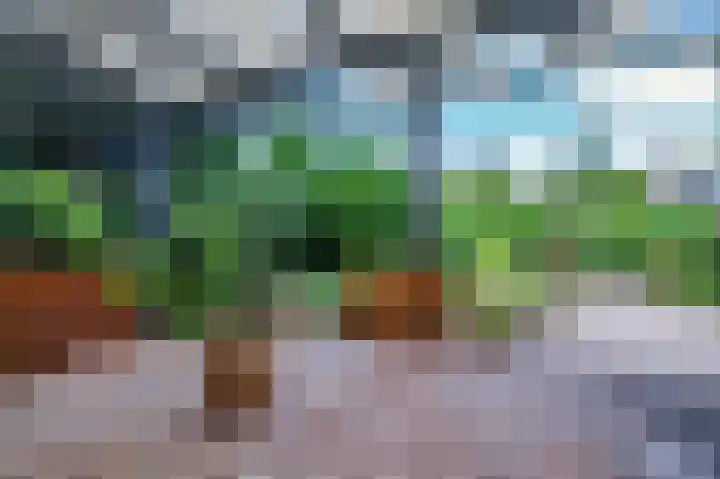 Liviuslaan 8 Venlo thumbnail 38
