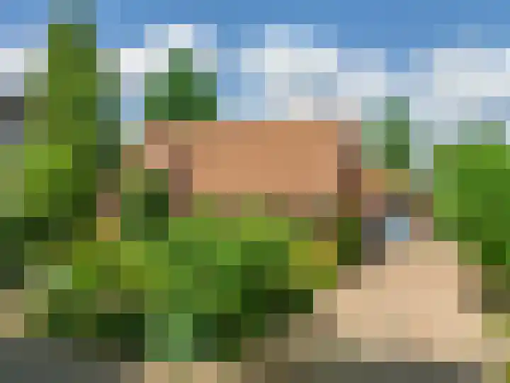 Liviuslaan 8 Venlo thumbnail 4