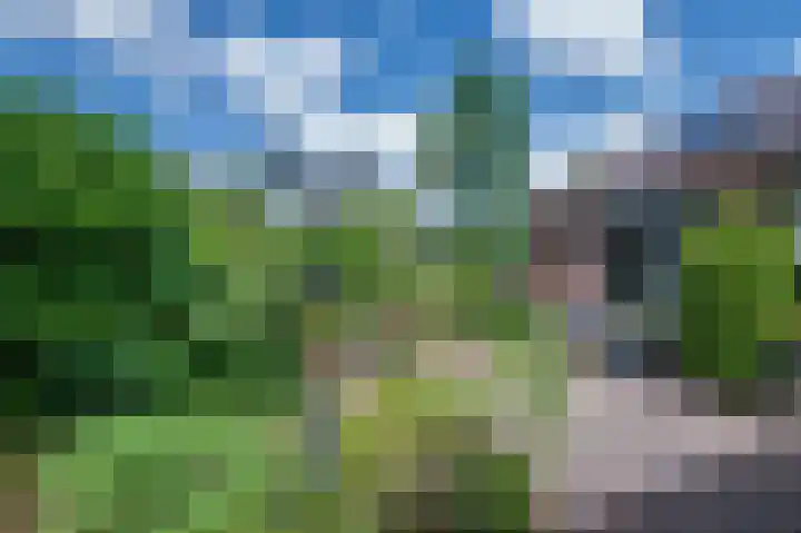 Liviuslaan 8 Venlo thumbnail 40