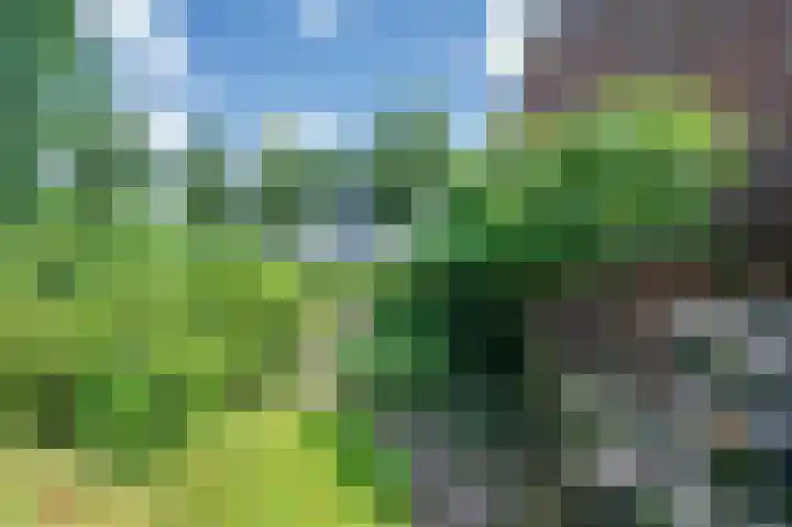 Liviuslaan 8 Venlo thumbnail 46
