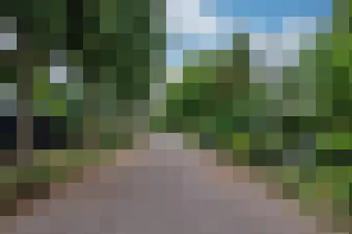 Liviuslaan 8 Venlo thumbnail 53