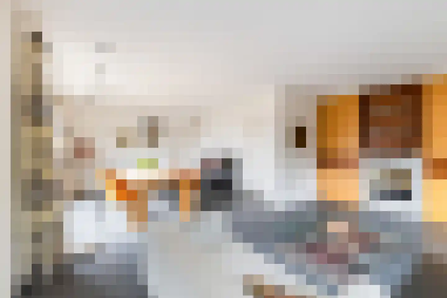 Liviusstraat 11 's-Hertogenbosch thumbnail 11