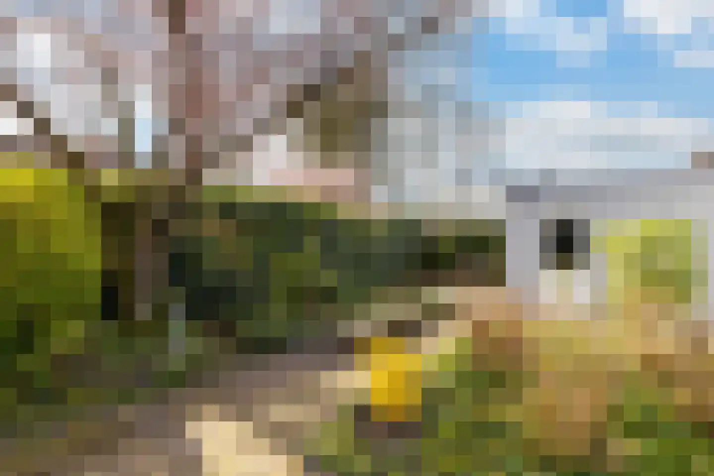 Liviusstraat 11 's-Hertogenbosch thumbnail 17