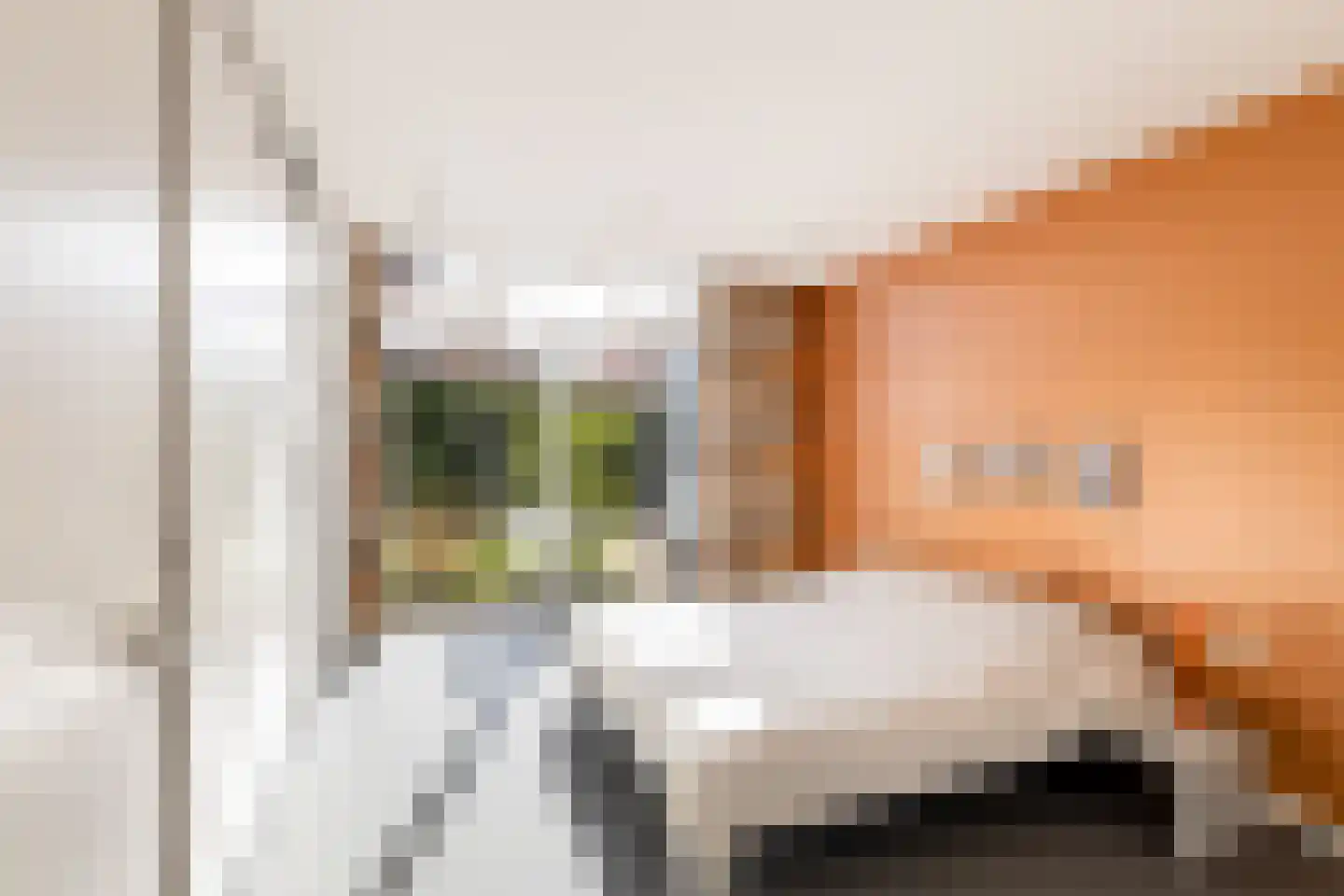 Liviusstraat 11 's-Hertogenbosch thumbnail 21