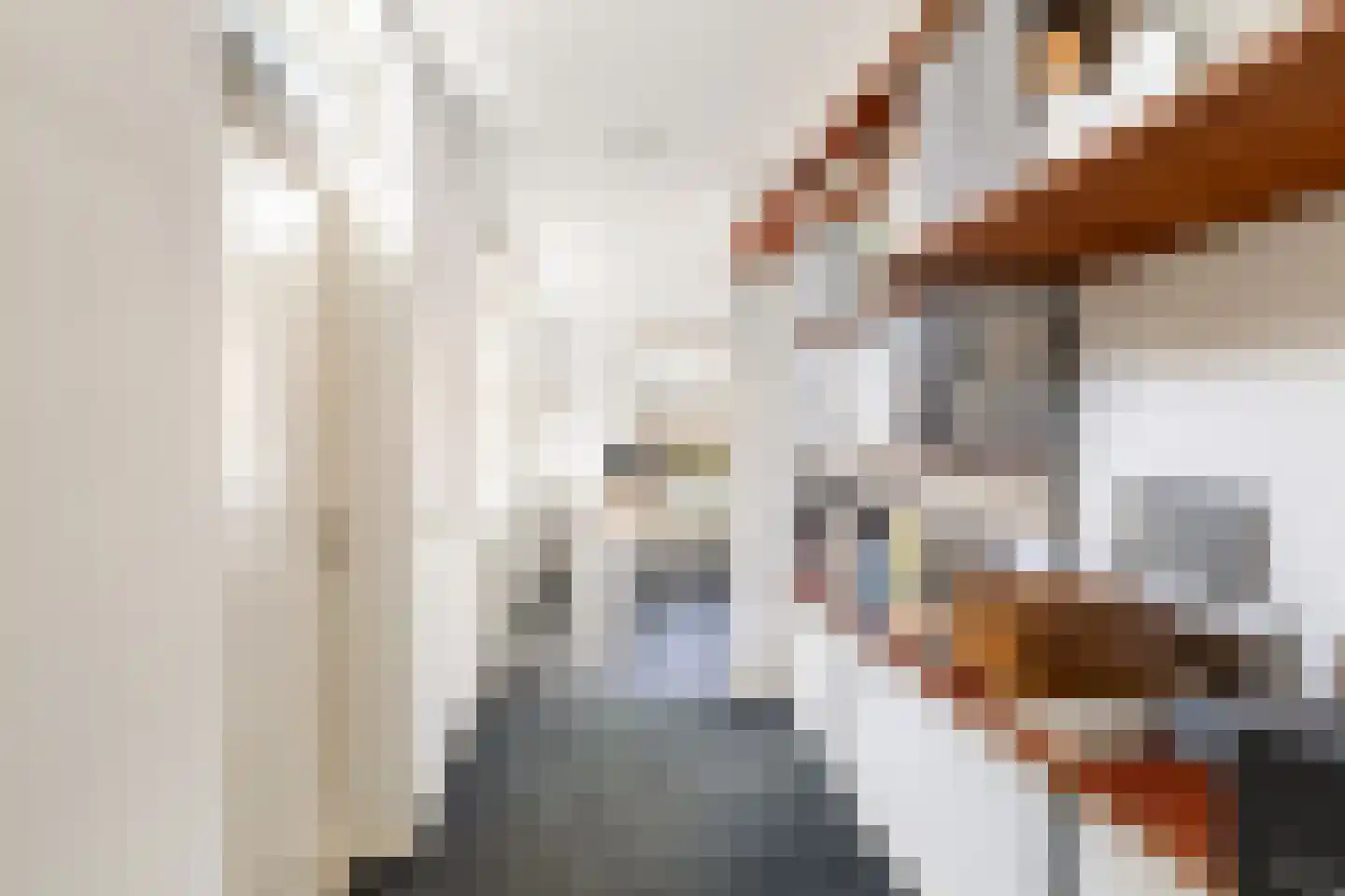 Liviusstraat 11 's-Hertogenbosch thumbnail 26