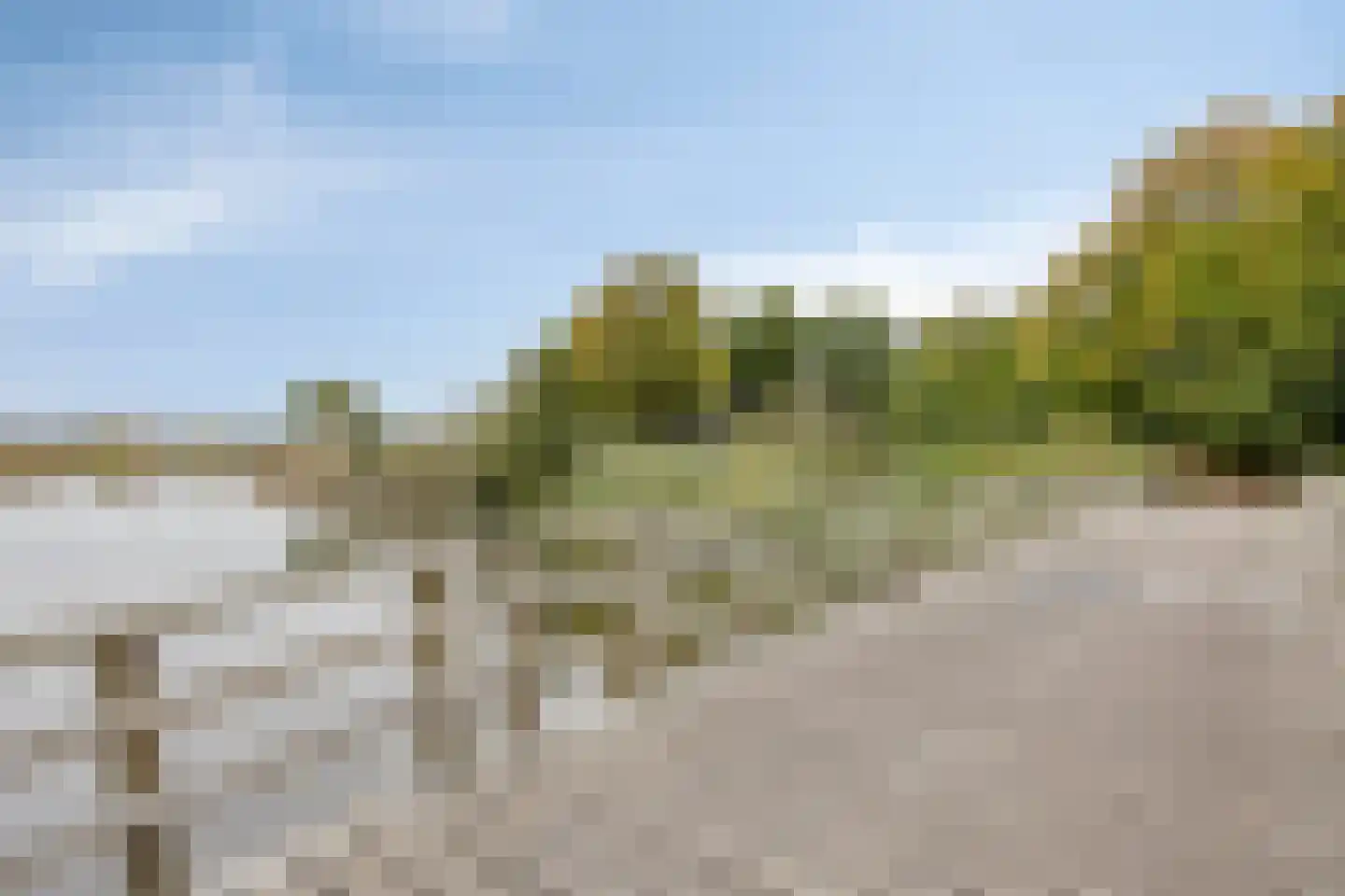 Liviusstraat 11 's-Hertogenbosch thumbnail 30