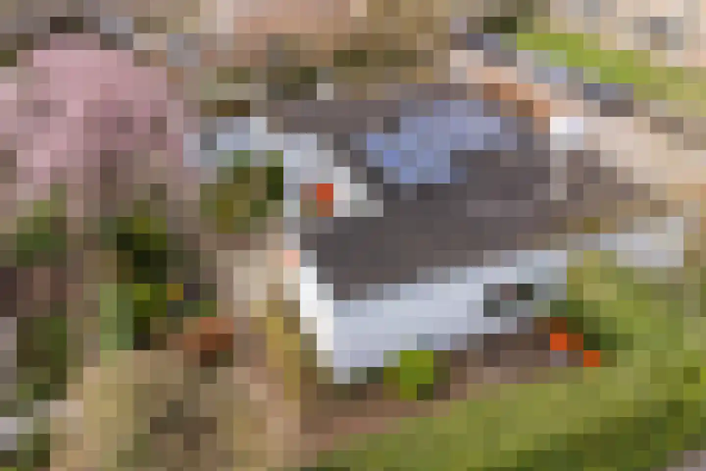 Liviusstraat 11 's-Hertogenbosch thumbnail 6