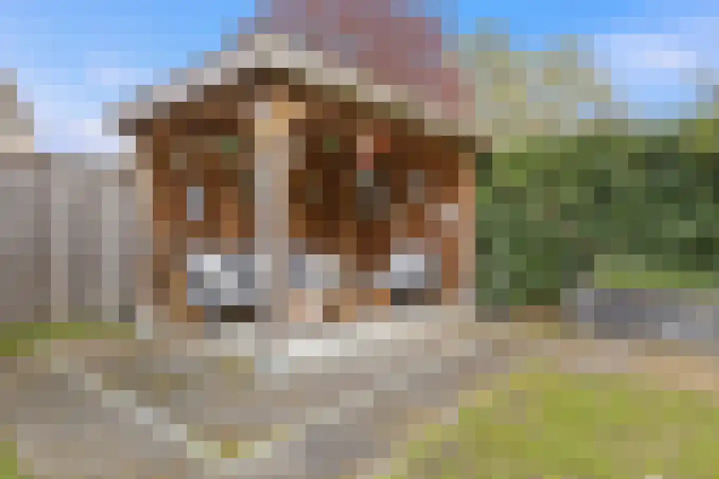 Liviusstraat 21 Sittard thumbnail 35