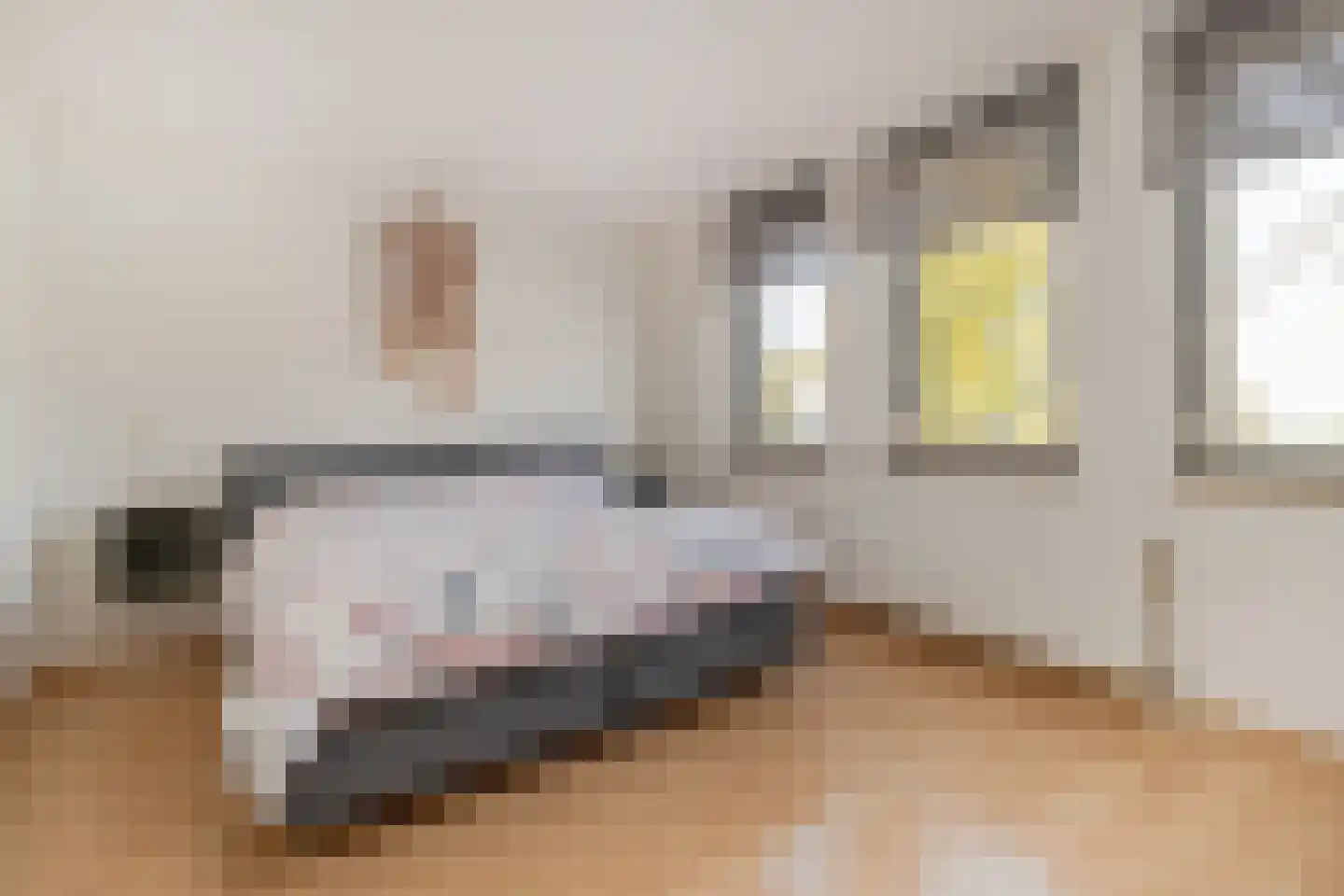 Liviusstraat 28 Sittard thumbnail 5