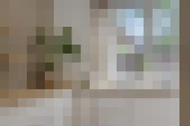 Livornolaan 12 's-Hertogenbosch thumbnail 12
