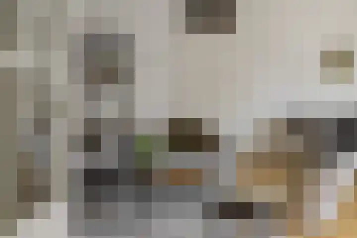 Livornolaan 12 's-Hertogenbosch thumbnail 13