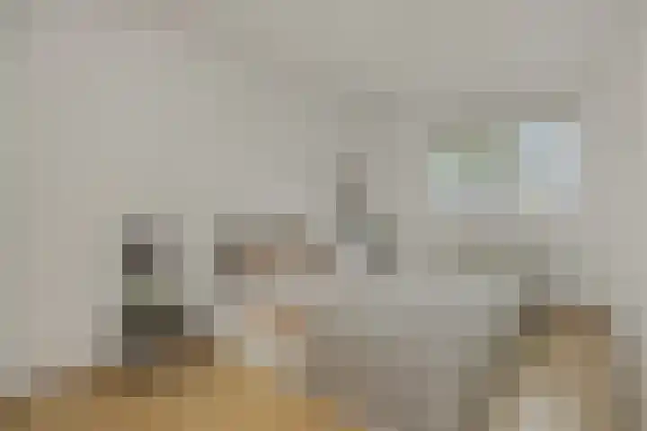 Livornolaan 12 's-Hertogenbosch thumbnail 14