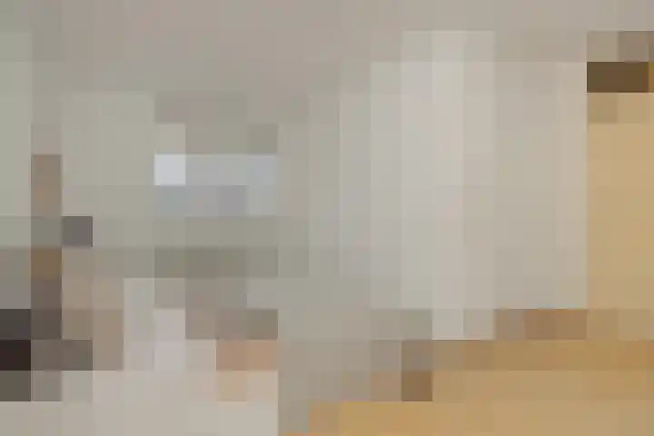 Livornolaan 12 's-Hertogenbosch thumbnail 16