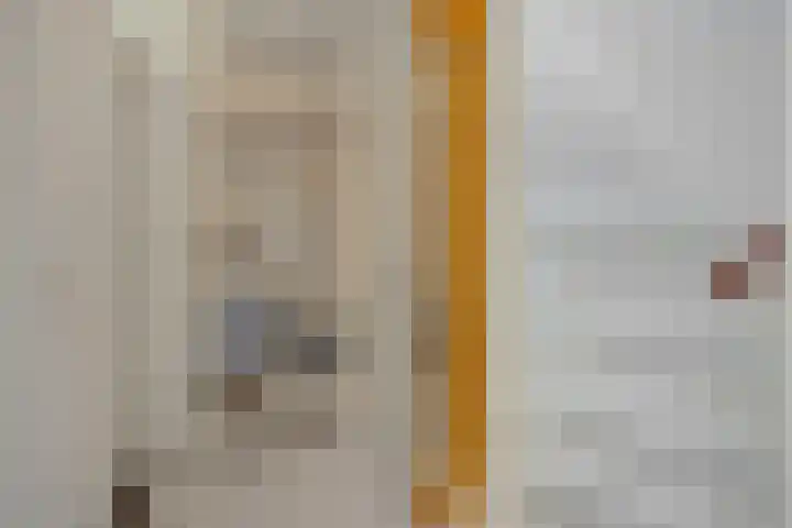Livornolaan 12 's-Hertogenbosch thumbnail 18