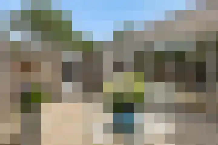 Livornolaan 12 's-Hertogenbosch thumbnail 22
