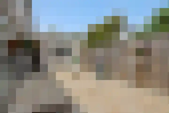 Livornolaan 12 's-Hertogenbosch thumbnail 24