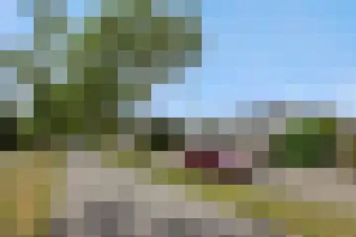 Livornolaan 12 's-Hertogenbosch thumbnail 25