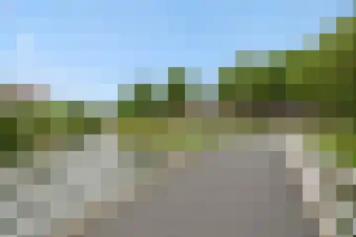 Livornolaan 12 's-Hertogenbosch thumbnail 26