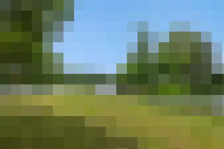 Livornolaan 12 's-Hertogenbosch thumbnail 27