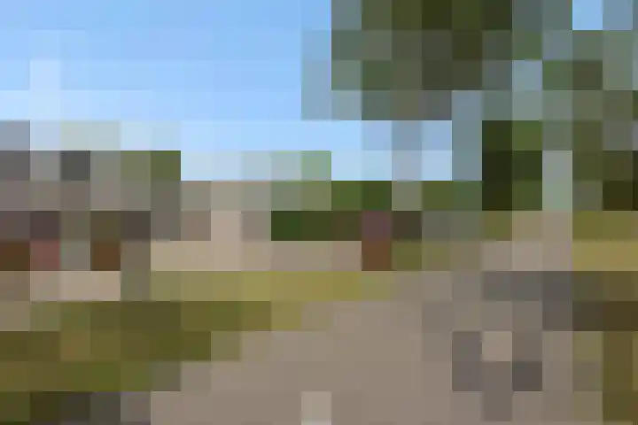 Livornolaan 12 's-Hertogenbosch thumbnail 4