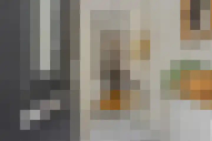 Livornolaan 12 's-Hertogenbosch thumbnail 5