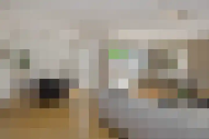 Livornolaan 12 's-Hertogenbosch thumbnail 6