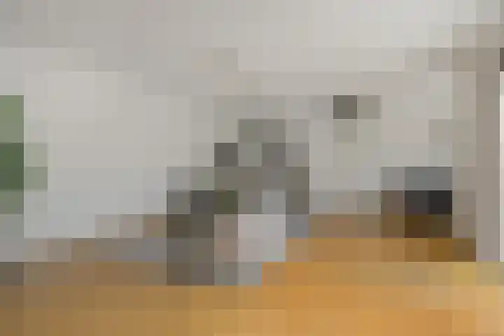 Livornolaan 12 's-Hertogenbosch thumbnail 7