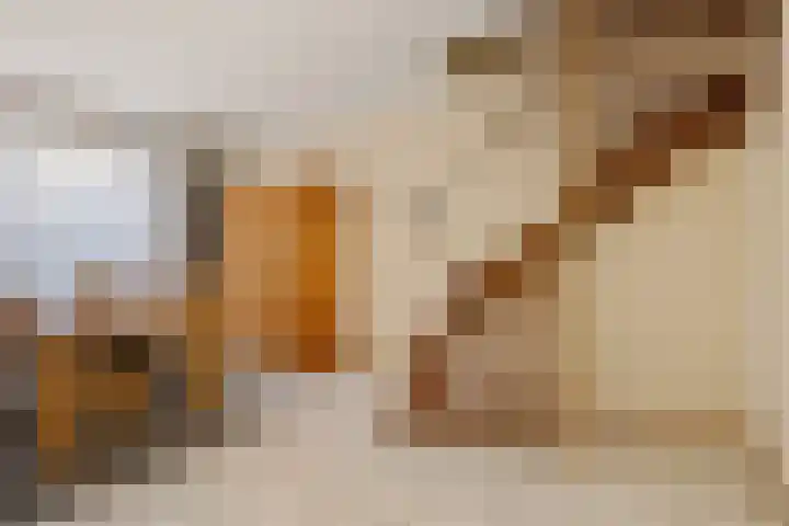 Livornostraat 15 Eindhoven thumbnail 14