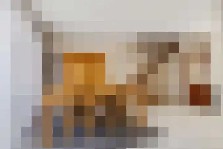 Livornostraat 15 Eindhoven thumbnail 16