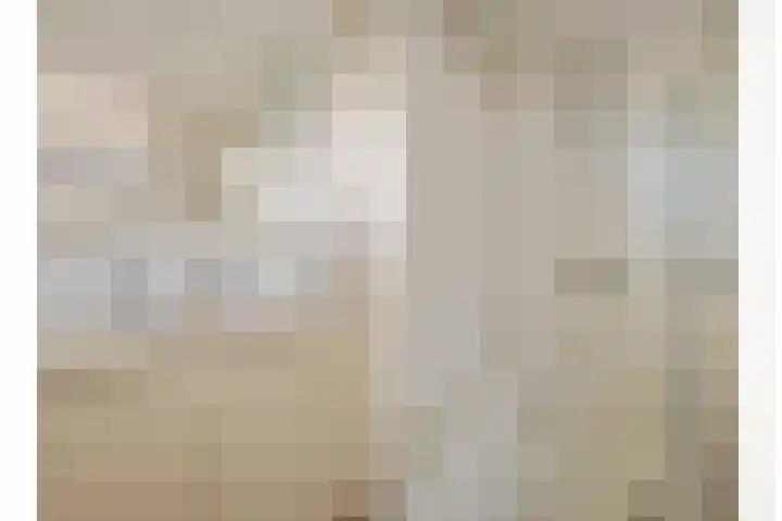 Livornostraat 15 Eindhoven thumbnail 28