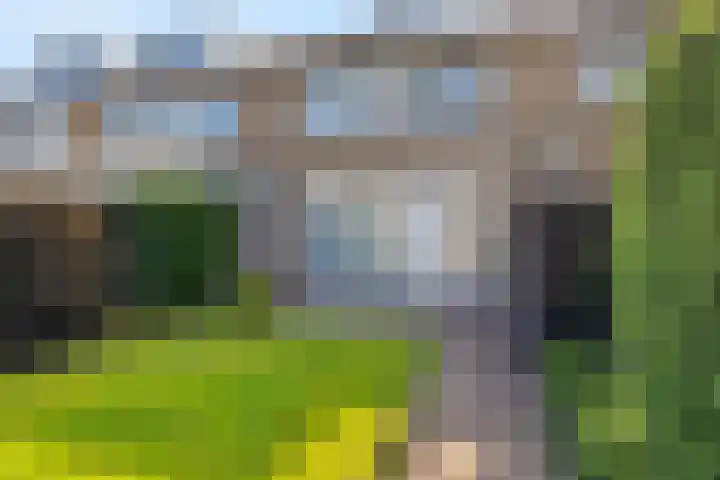 Livornostraat 15 Eindhoven thumbnail 33