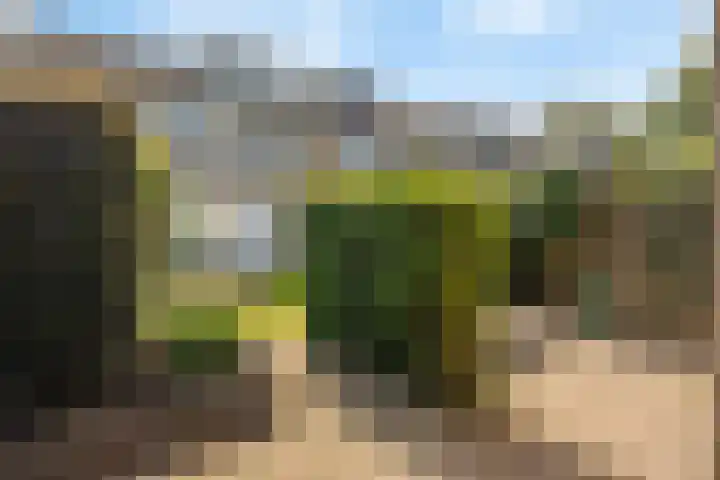 Livornostraat 15 Eindhoven thumbnail 34