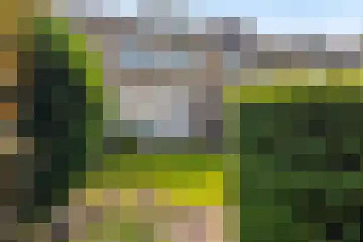 Livornostraat 15 Eindhoven thumbnail 35