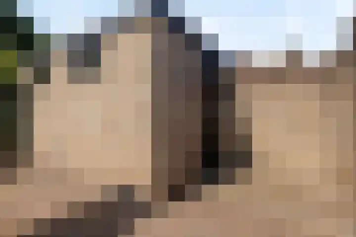 Livornostraat 15 Eindhoven thumbnail 36
