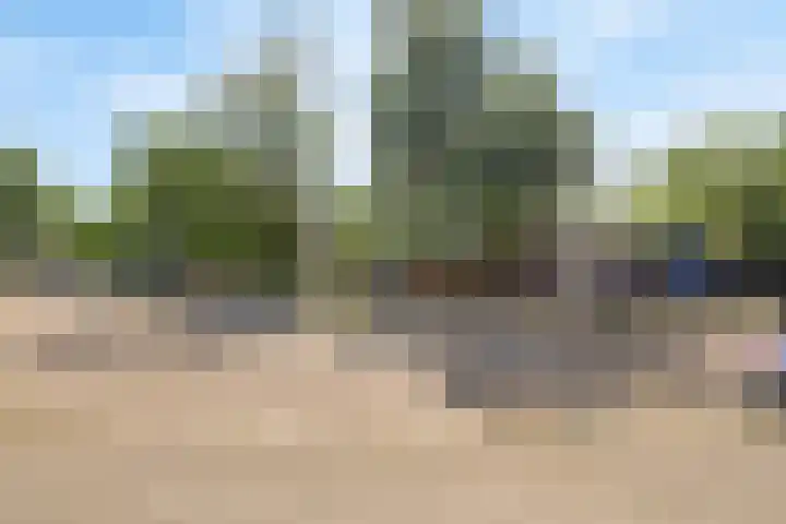 Livornostraat 15 Eindhoven thumbnail 38