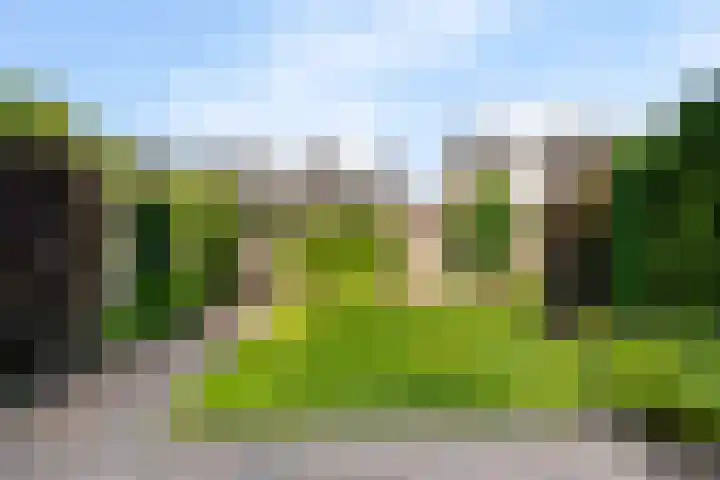 Livornostraat 15 Eindhoven thumbnail 6