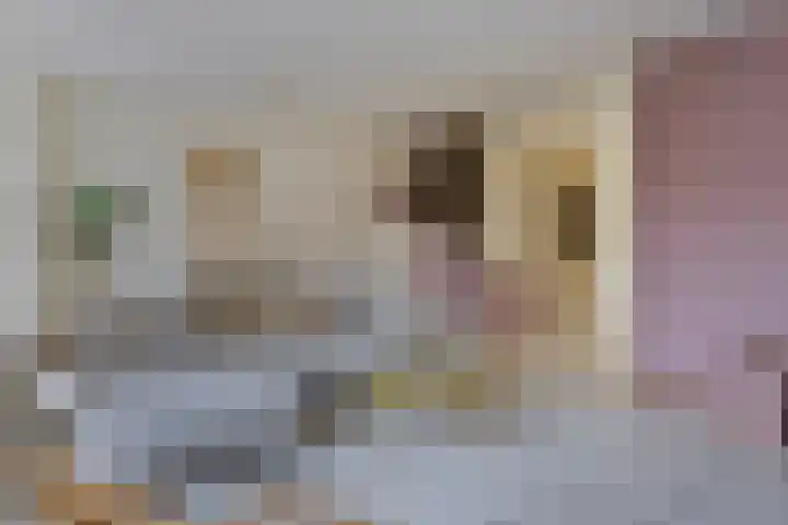 Livornostraat 43 Eindhoven thumbnail 10