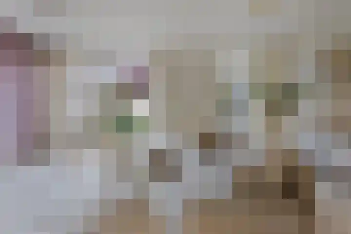 Livornostraat 43 Eindhoven thumbnail 11