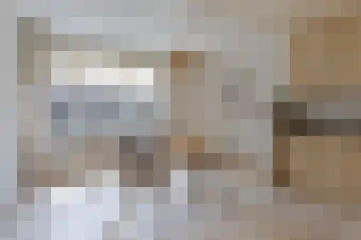 Livornostraat 43 Eindhoven thumbnail 12