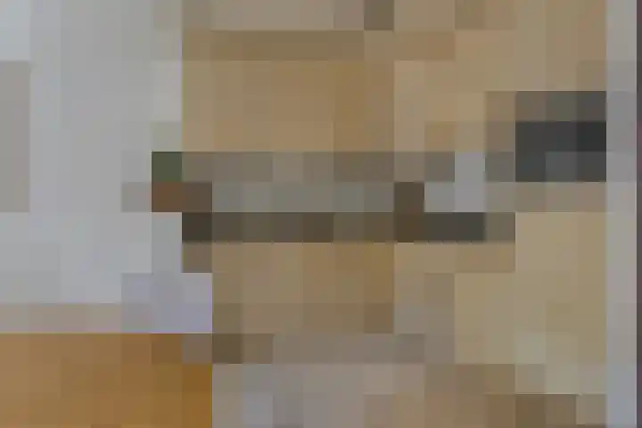 Livornostraat 43 Eindhoven thumbnail 13