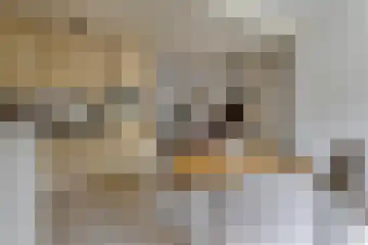 Livornostraat 43 Eindhoven thumbnail 14