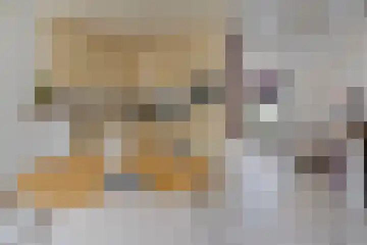 Livornostraat 43 Eindhoven thumbnail 15