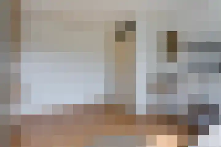 Livornostraat 43 Eindhoven thumbnail 24