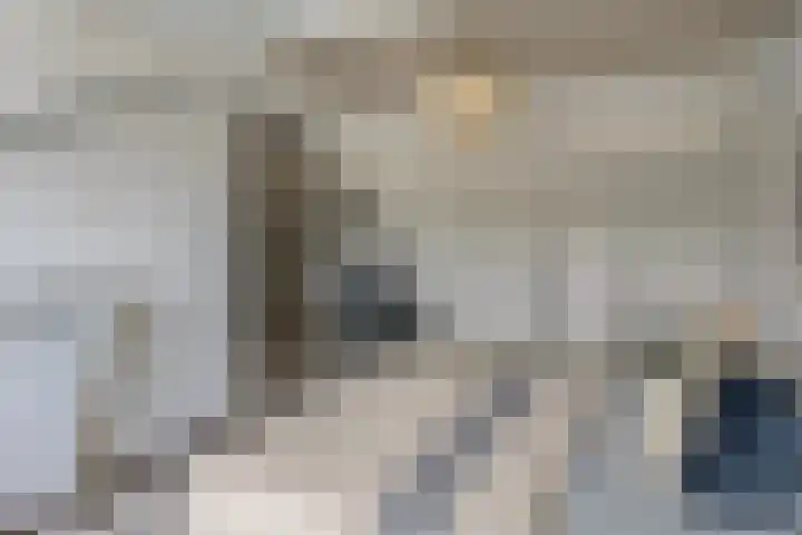 Livornostraat 43 Eindhoven thumbnail 31