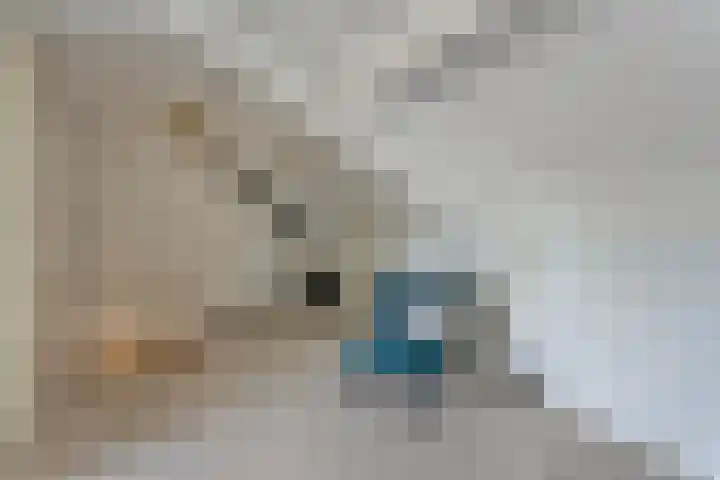 Livornostraat 43 Eindhoven thumbnail 32